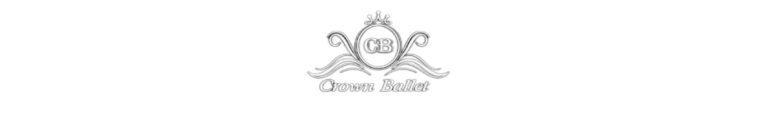 Website Logo
